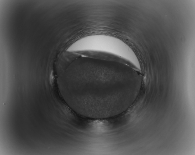 X0000089690566200707121338