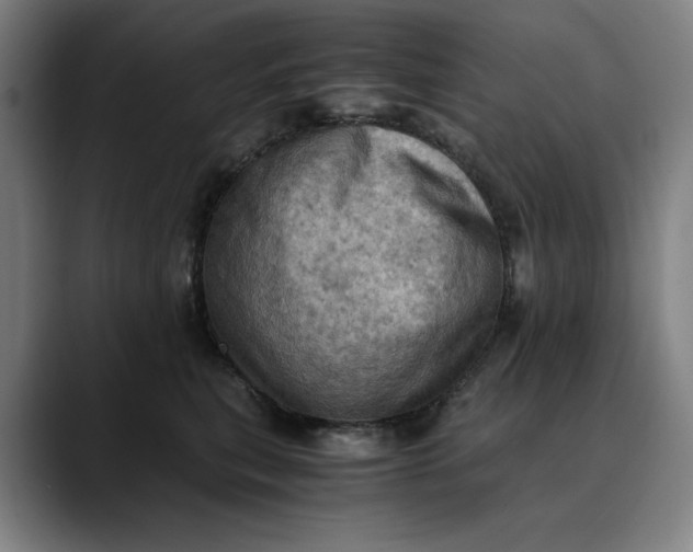 X0000089690567200707121338