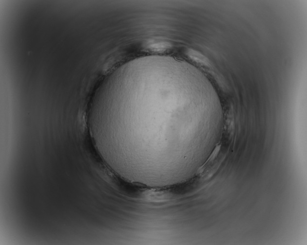 X0000089690568200707121338