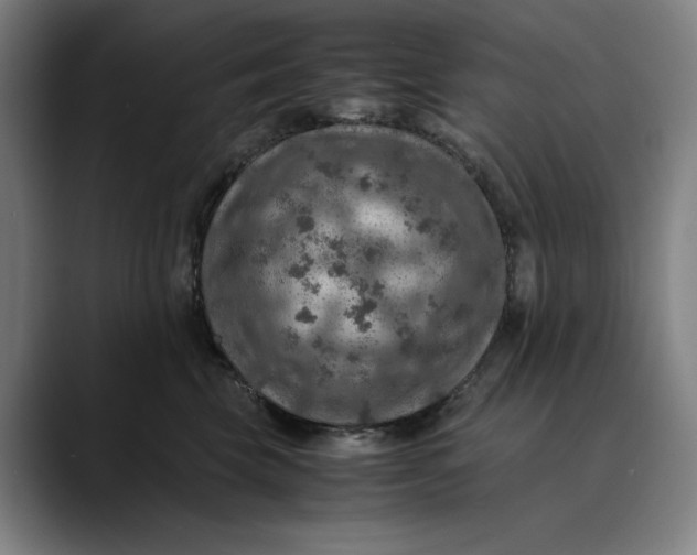 X0000089690569200707121338