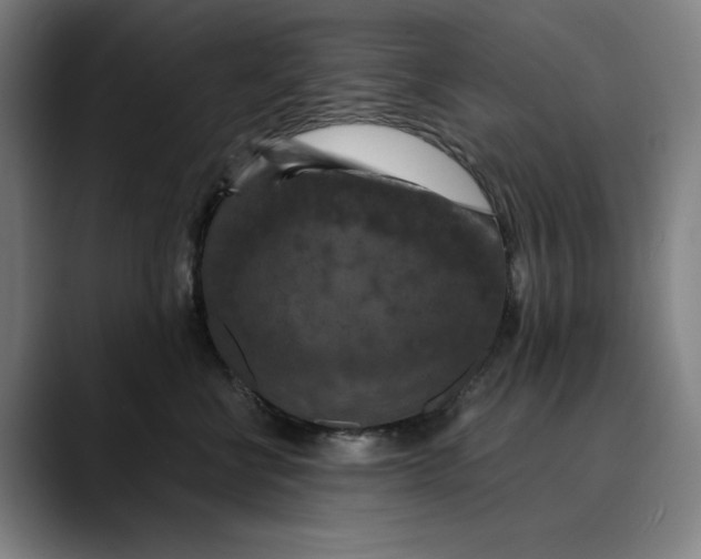 X0000089690570200707121338