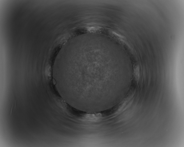 X0000089690571200707121338