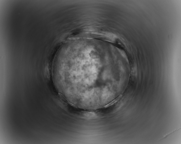 X0000089690572200707121338