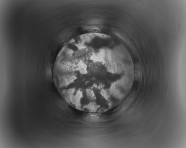 X0000089690573200707121338