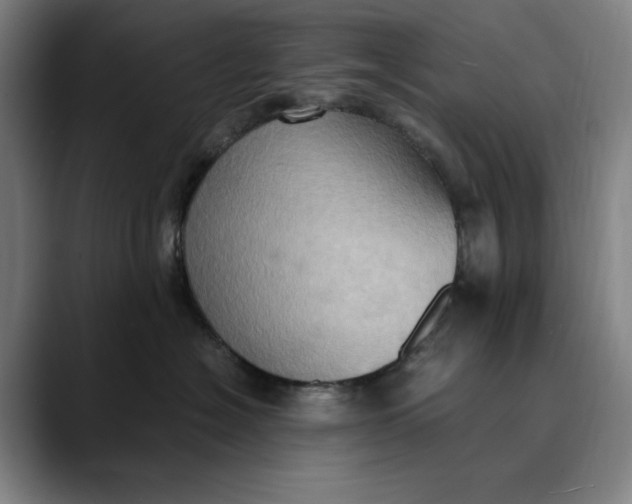 X0000089690574200707121338