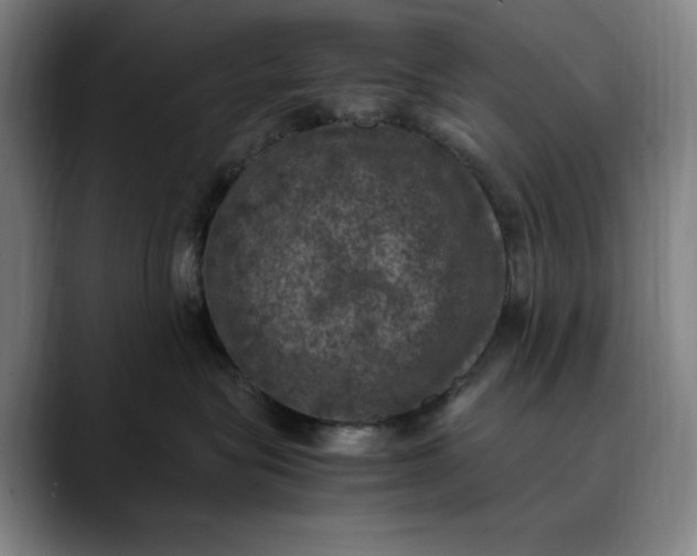 X0000089690575200707121338