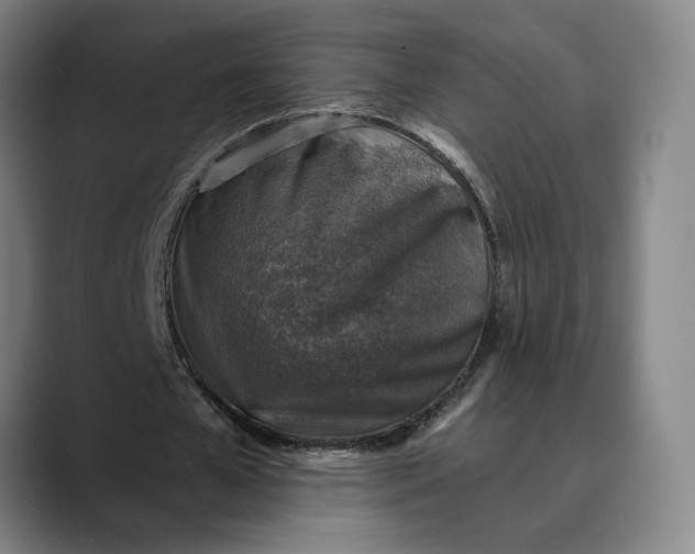 X0000089690577200707121338