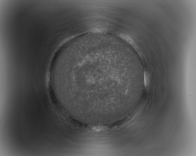 X0000089690579200707121338