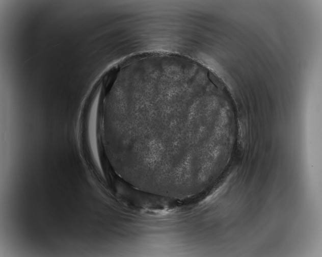 X0000089690580200707121338