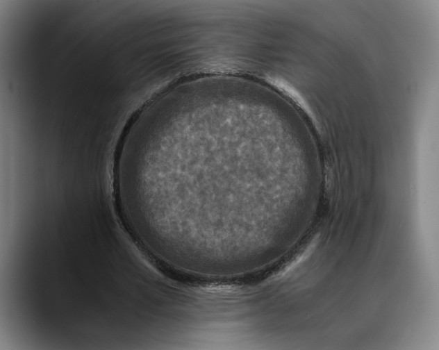 X0000089690581200707121338