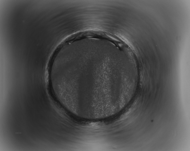 X0000089690584200707121337