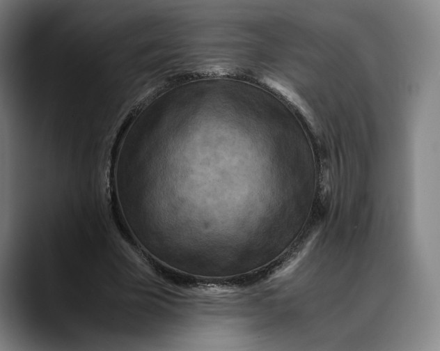 X0000089690585200707121337