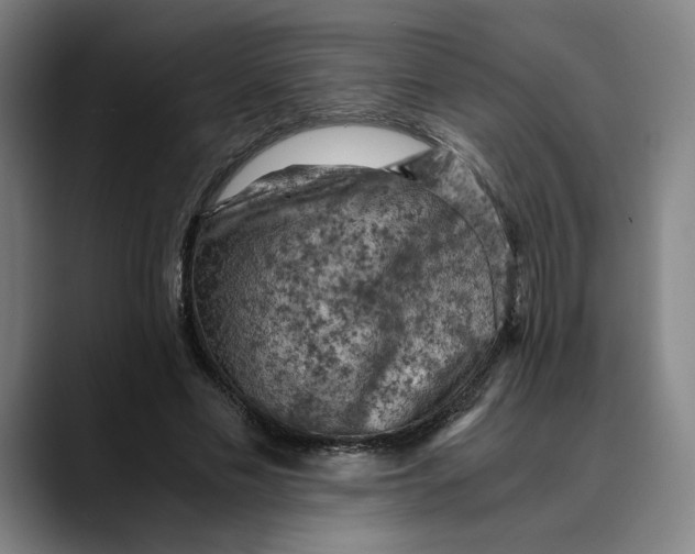 X0000089690589200707121337