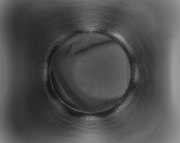 X0000089690590200707121337