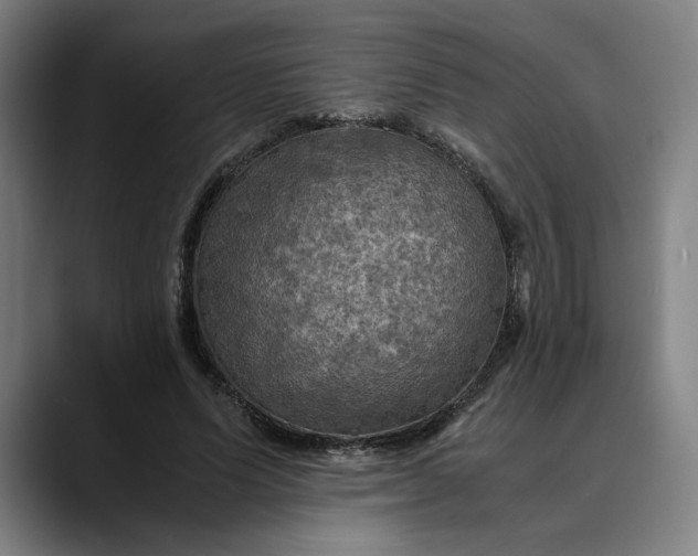 X0000089690591200707121337