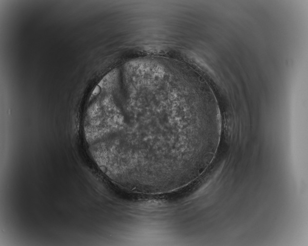 X0000089690593200707121337