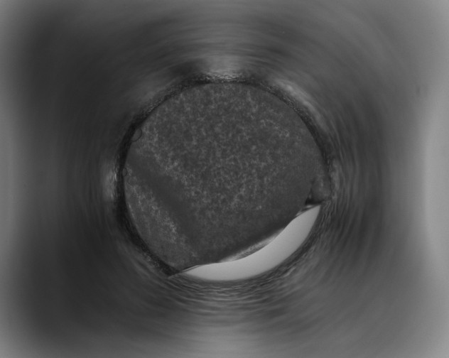 X0000089690596200707121337