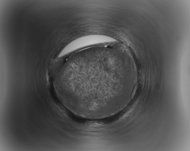 X0000089690597200707121337