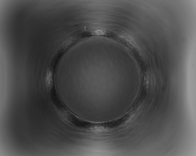 X0000089690598200707121337