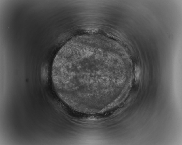 X0000089690600200707121337