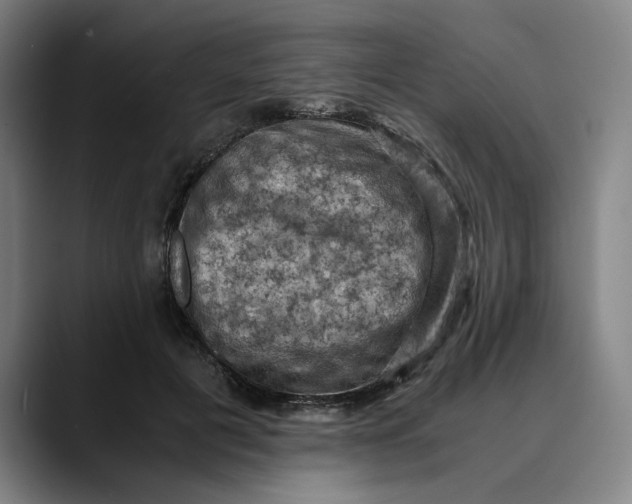 X0000089690601200707121337