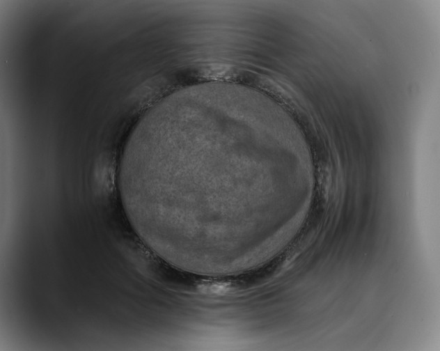 X0000089690602200707121337