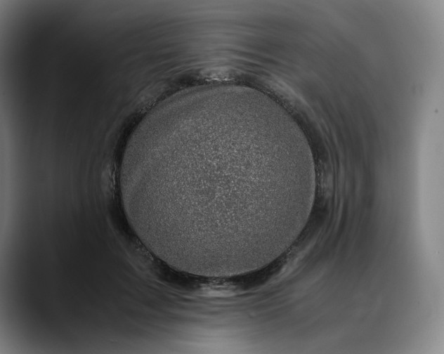 X0000089690603200707121337