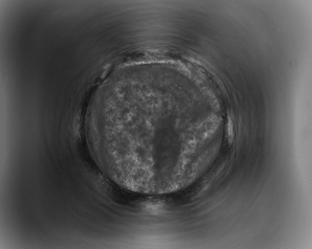 X0000089690604200707121337