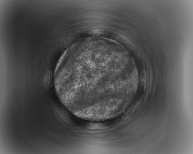 X0000089690605200707121337