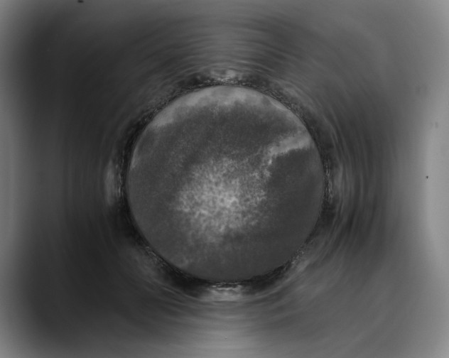 X0000089690606200707121337