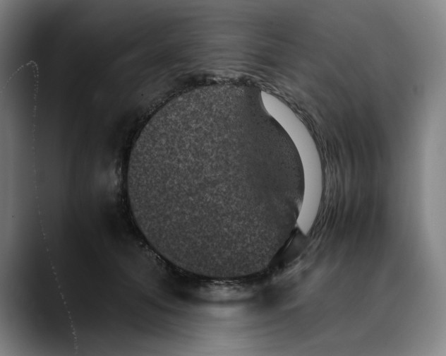 X0000089690608200707121337