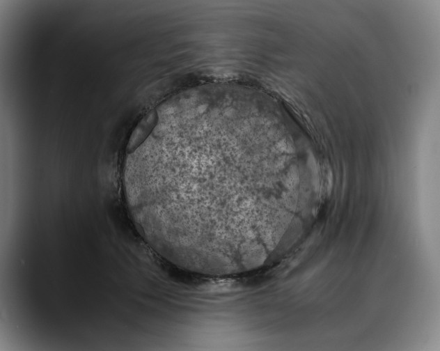 X0000089690609200707121337