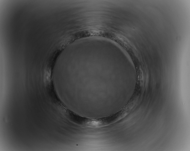 X0000089690610200707121337