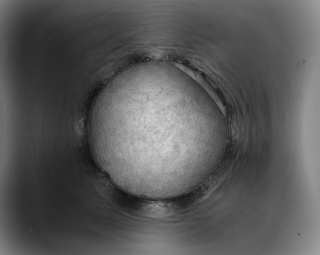 X0000089690611200707121337