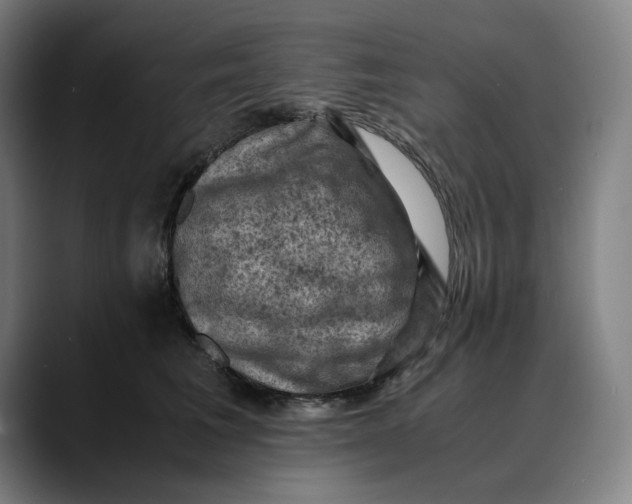 X0000089690613200707121337