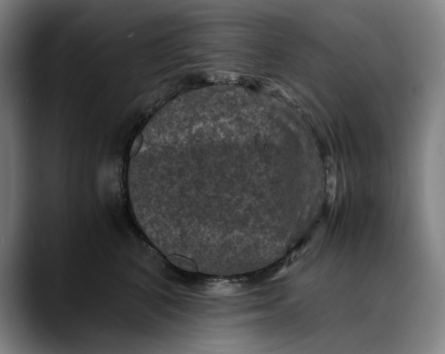 X0000089690616200707121337