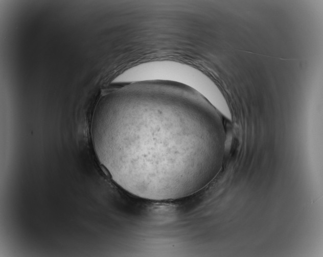 X0000089690617200707121337