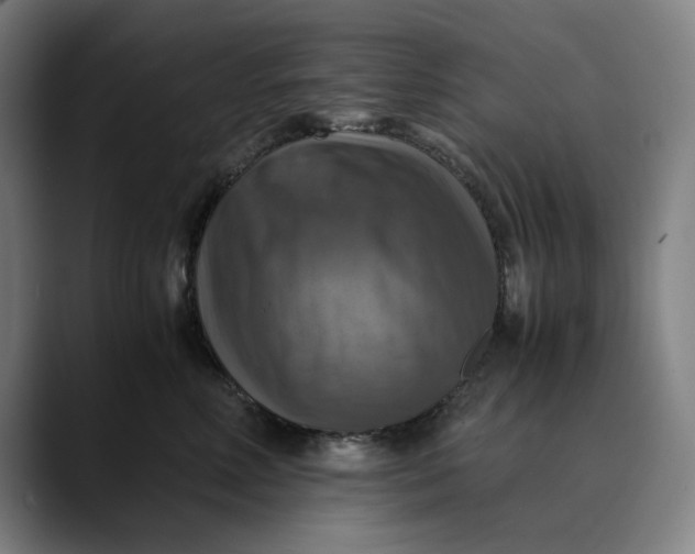 X0000089690618200707121337