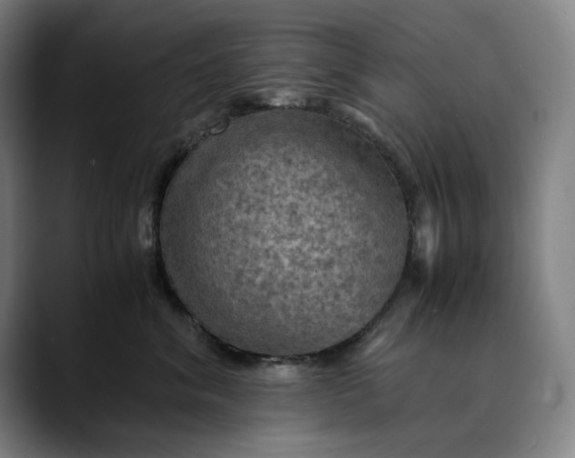 X0000089690620200707121337