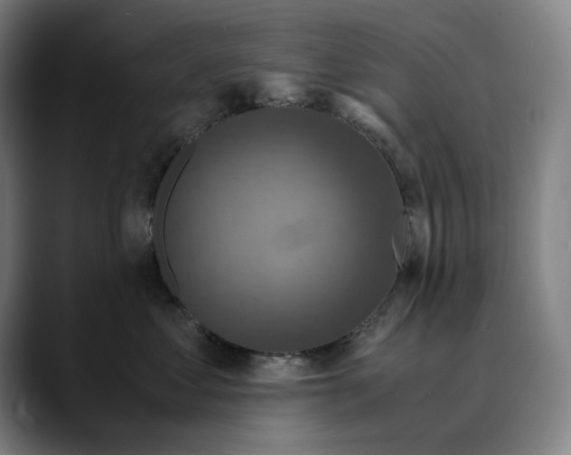 X0000089690621200707121337