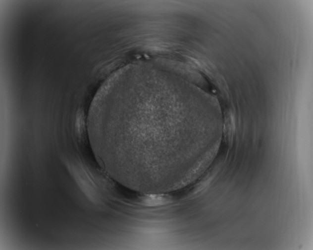 X0000089690623200707121337