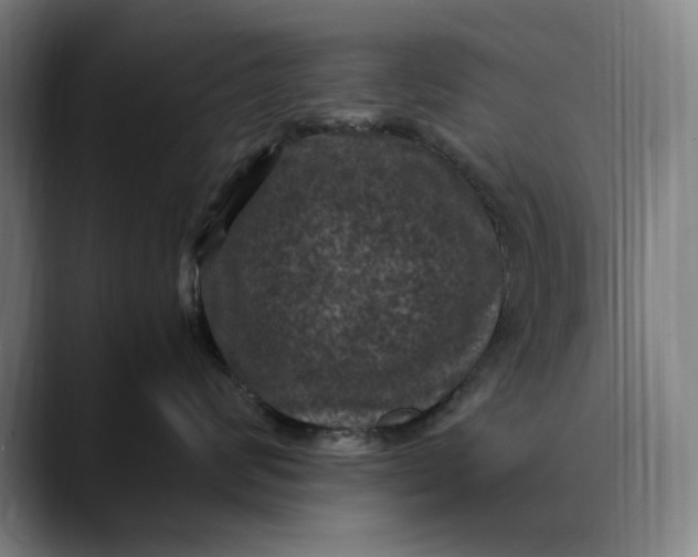 X0000089690624200707121337