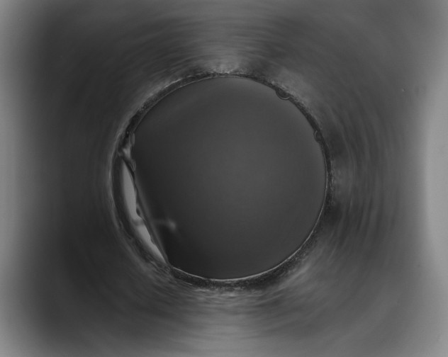 X0000089690626200707121336