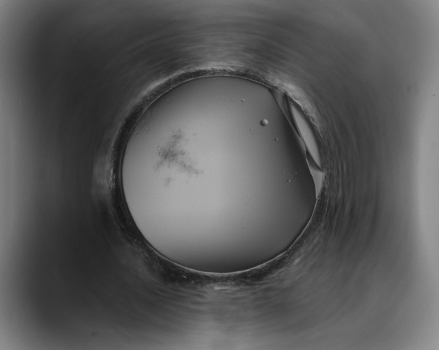 X0000089690628200707121337