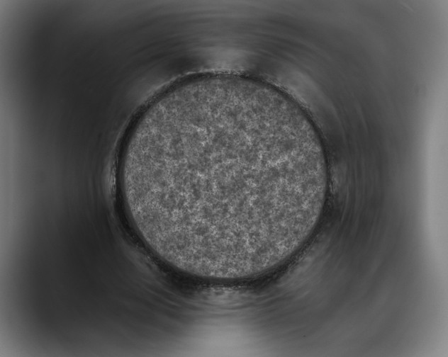 X0000089690632200707121337