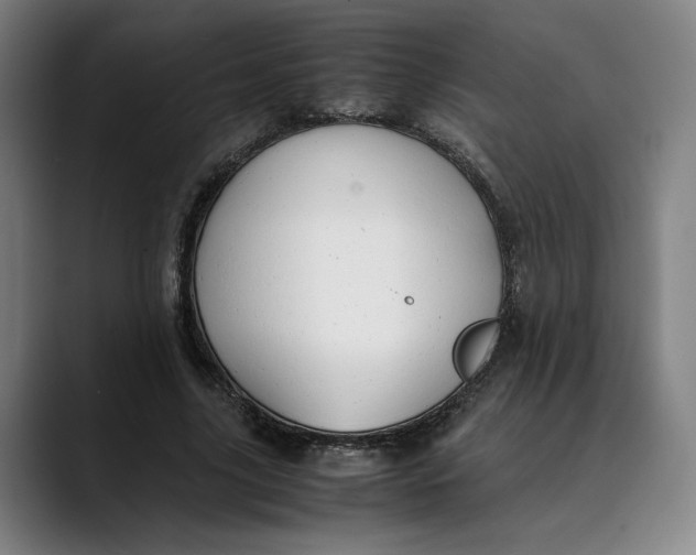 X0000089690635200707121337