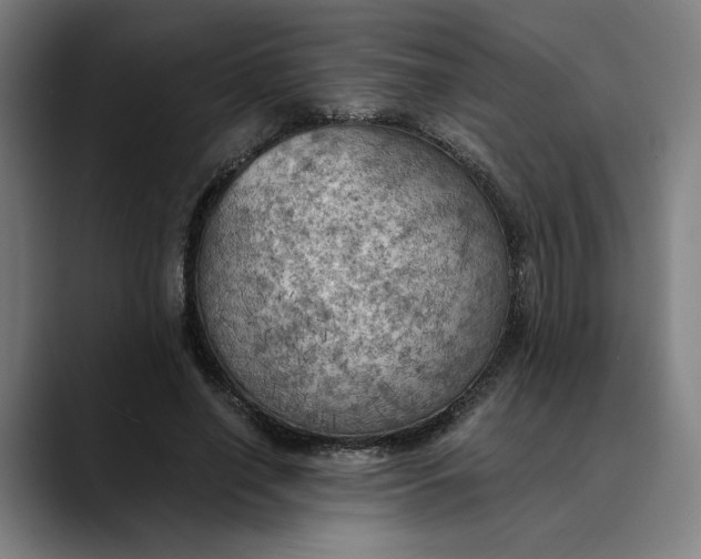 X0000089690638200707121337