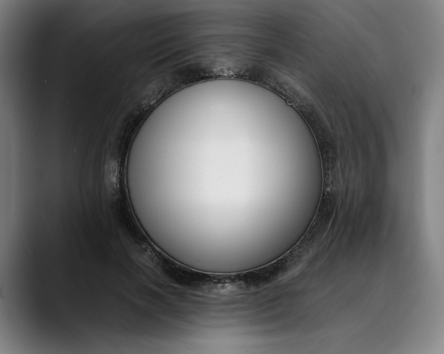 X0000089690646200707121337