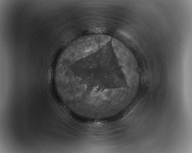 X0000089690647200707121337