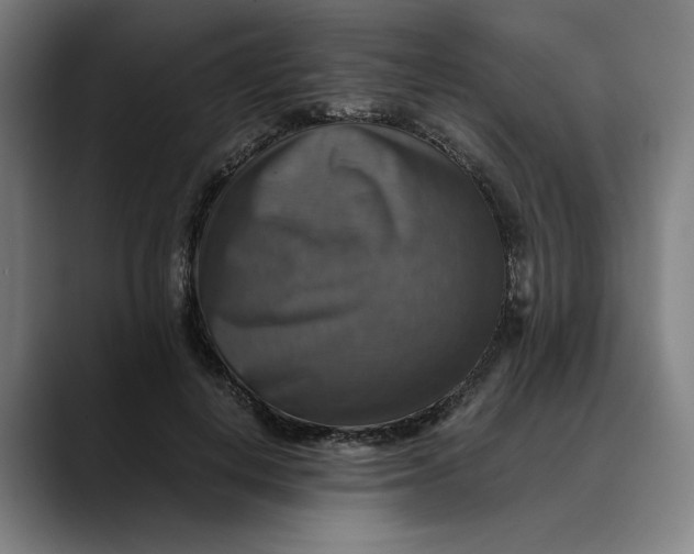 X0000089690648200707121337